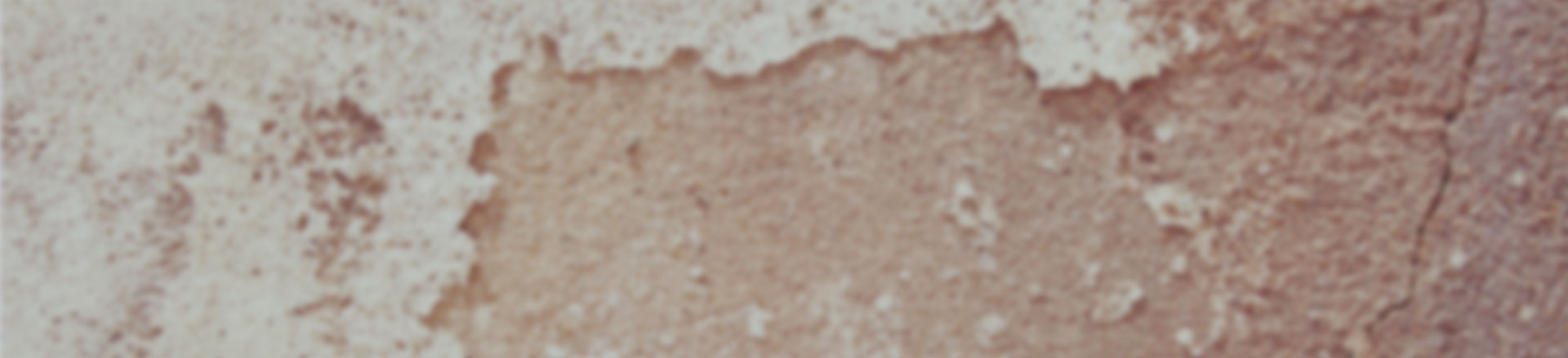 网站攻击工具手机版