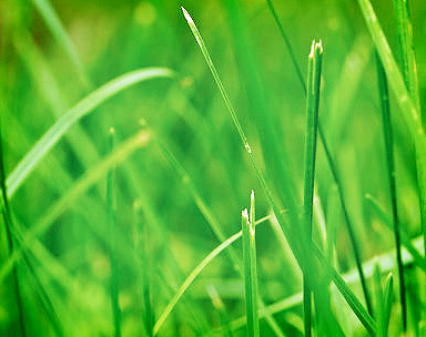 网页攻击器教程